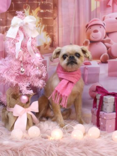 20241229ムーくん